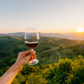 The Wine Industry in Aurora, OR: Exploring the Most Popular Type of Wine