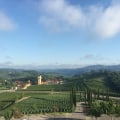 The Wine Industry in Aurora, OR: Exploring the Average Production Size of Wineries