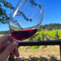 The Average Age of Vines in Aurora, OR Wineries: A Closer Look at the Wine Industry