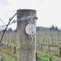 The Ultimate Guide to Starting a Winery in Aurora, OR