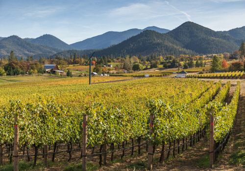 Exploring the Award-Winning Wineries in Aurora, OR