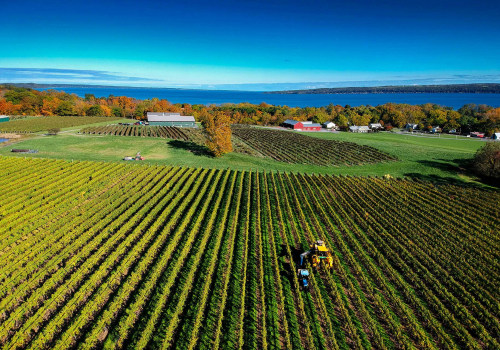 Exploring the Hidden Gem of Aurora, OR: The Wine Industry