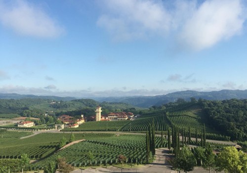 The Wine Industry in Aurora, OR: Exploring the Average Production Size of Wineries